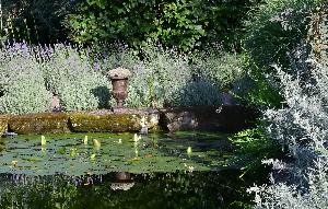 Garten Herrenmühle Bleichheim im Juli